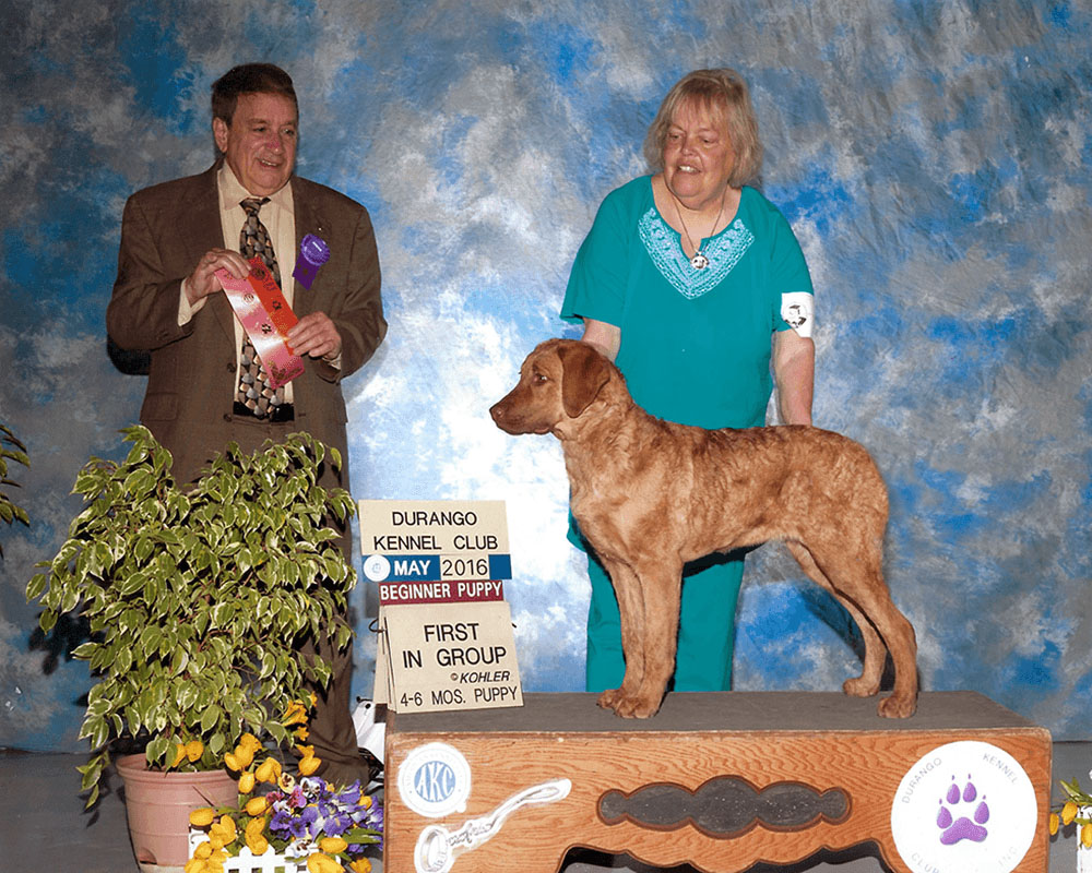 RACH CH Spinnaker's Oh No Never Of Ocotilla